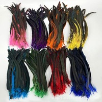 Plumes de coq en gros 35-40 cm (14-16 po) – Plumes de queue de coq en vrac, teintes et blanchies, couleur naturelle, pour costumes de carnaval et artisanat