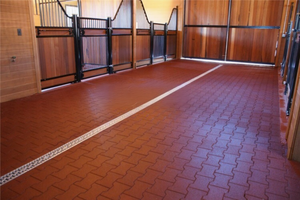 Op Maat Gemaakte Europese Stijl Paardenopvang Hoogwaardige Draagbare Schuur Voor Buiten Manege - Product Image 6