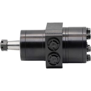 Motor Hidráulico Ccxxmmyy 5023091 Tipo Pistón Para Ferris - Product Image 1