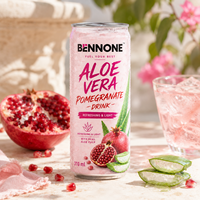 BENNONE Aloë Vera smaakloze magere vruchtensap 310ml blik gesteriliseerd gefilterd OEM dranken groothandel China drankenfabriek