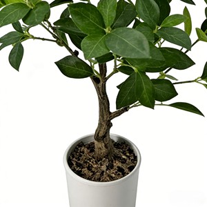 Artificial Banyan <b>Tree</b> - Product Image 5