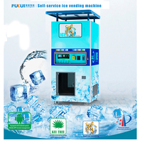 Distributeur automatique de glace en cubes PUKUI avec fonction SDK, fonctionnement à pièces, capacité de 900 kg, service 24h/24 et 7j/7