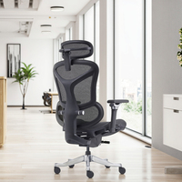 Chaise de bureau exécutive ergonomique moderne en maille, certifiée avec vérin à gaz de classe 4, support lombaire réglable et base pivotante ouverte