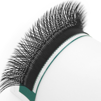 Votre marque 3D Volume Lash Extension fait à la main fibre synthétique CD Curl en forme de Y Premade Fans Cils