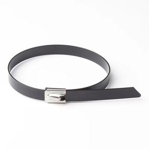 Заводская нержавеющая сталь, кабельные стяжки, стяжки, металлические 304, кабельные стяжки - Product Image 3