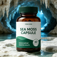 Capsules de mousse de mer avec fucus vésiculeux, complément alimentaire à base de plantes, soutien immunitaire, 60 capsules, OEM ODM