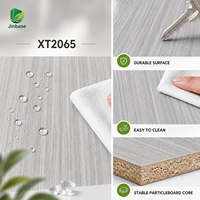 Meubles modernes Jinbase XT2065 gris argenté, placage bois, grain de bois, écologiques, noyau MDF/HDF E0, première qualité, imperméables, ignifuges