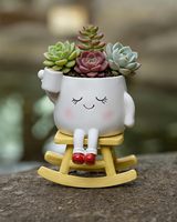 Pot de fleurs suspendu en résine Swing Face avec trou de drainage pour une utilisation en intérieur/extérieur, style jardin, pour plantes succulentes