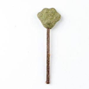 Planta Natural para limpieza de dientes de gato, palitos para masticar, hierba gatera, piruleta, juguete para gato - Product Image 5