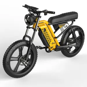 48V 1000W Krachtige Dikke Band Ebike Met 20 Inch Wielen Robuuste Duurzame E-Bike Voor Off-Road Avonturen En Dagelijks Woon-Werkverkeer