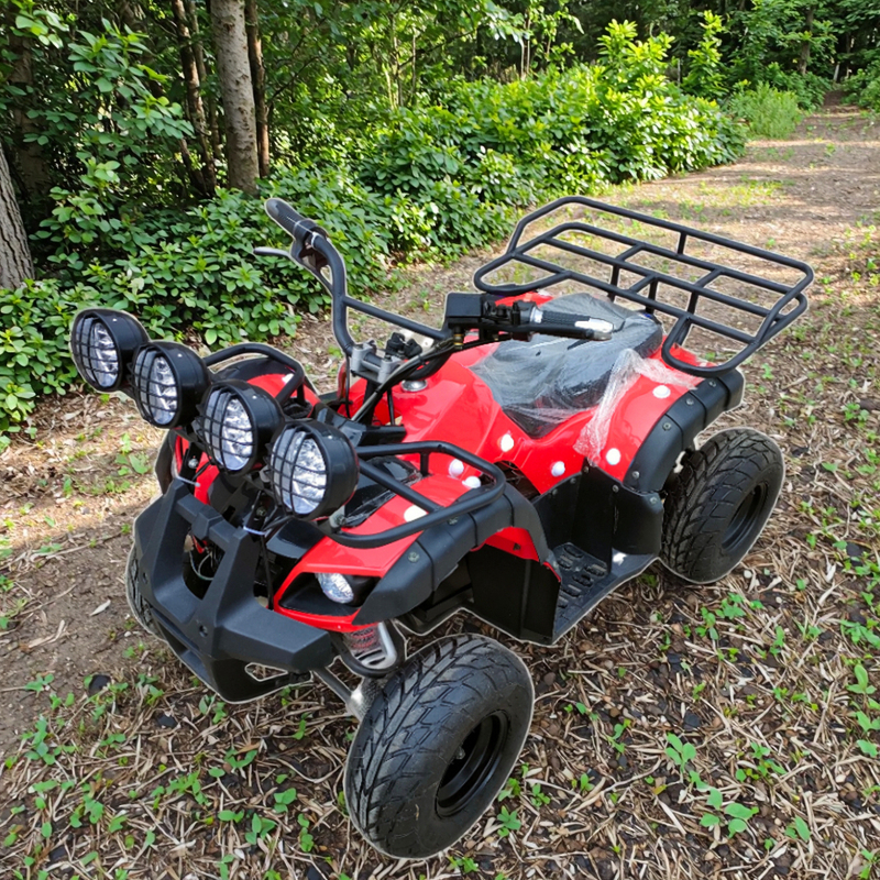 China Factory Direct Selling Electric ATV