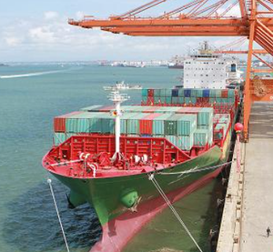 أرخص شحن بحري من شيامن الصين إلى كولمبو سري لانكا خدمة لوجستية موثوقة لمقدم الخدمة - Product Image 4