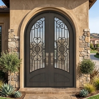 Porte d'entrée de villa décorative extérieure en fer forgé cintrée traditionnelle de luxe, à double battant avec ouverture latérale et vitrage, sur mesure