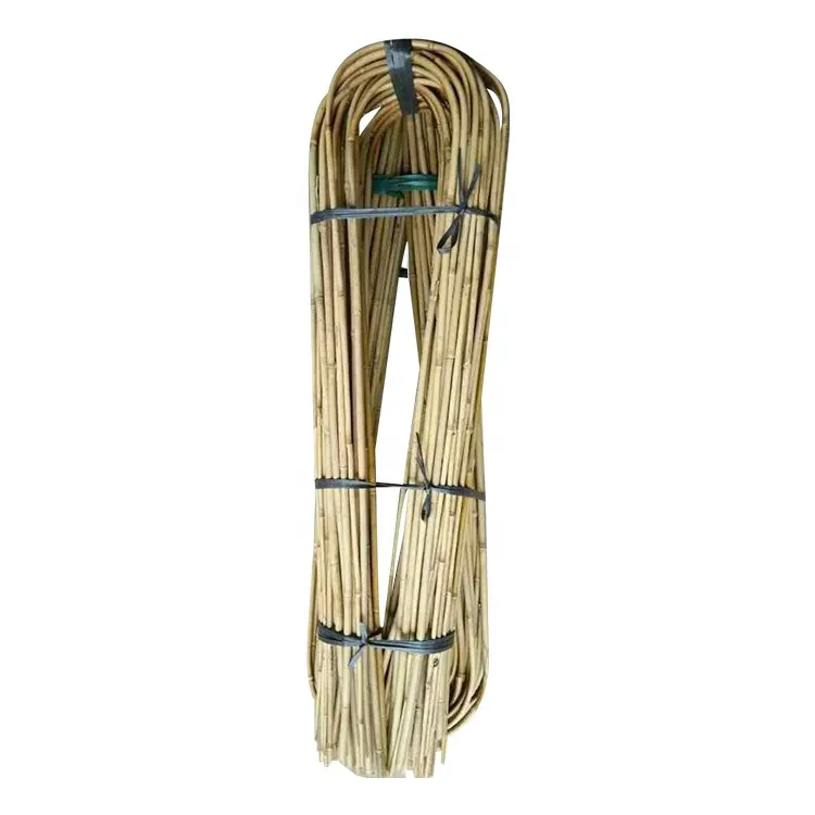 El aro de bambú U/el aro de bambú soporta 75 cm,8-10mm
