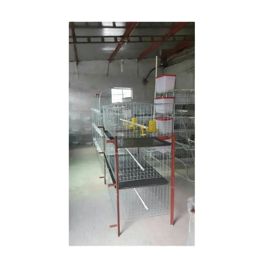 Automatic H type pullet/ layer/ broiler chicken meat chicken cage with nipple drinker in poultry farm