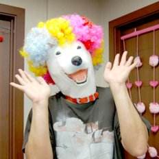 Apro WAe Masques de fête drôles - Product Image 1