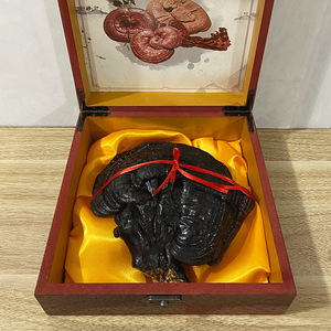 Té de Ganoderma Lucidum Silvestre Natural Chino, <span class=keywords><strong>Hongo</strong></span> <span class=keywords><strong>Reishi</strong></span> - Product Image 5