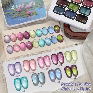 Palette personnalisée à 9 compartiments pour salons de manucure, avec gel œil de chat à émail longue durée, source de lumière LED, liquide en emballage palette - Product Image 6