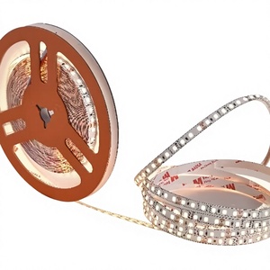 Éclairage intérieur flexible SMD 2835 multicolore, largeur 8 mm 10 mm, télécommande USB, pour la décoration de jardin et de hall - Product Image 1