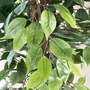 Bán Buôn 220Cm Ficus Cây Đám Cưới Lớn Cây Nhân Tạo Với Nồi Nhựa Nhân Tạo Bonsai <span class=keywords><strong>Tree</strong></span> Đối Với Trang Trí - Product Image 3