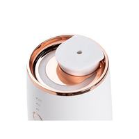 Diffuseur d'huiles essentielles pour voiture, nouveau style, USB, machine de pulvérisation automatique de parfum