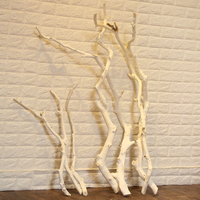 Branche d'oranger blanche naturelle séchée, bois mort, branche sèche pour vase de fenêtre intérieur, décoration de la maison