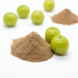 Polvo de Fruta Amla al Mejor Precio en Existencia - Product Image 1