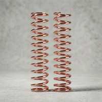 Ressort de compression plaqué or rose pour quincaillerie de meubles vintage, ressort hélicoïdal en acier inoxydable sur mesure, usine OEM