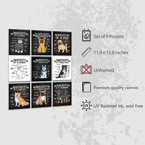 Ensemble moderne de 9 peintures sur toile d'anatomie de chien 12x16 pouces Art mural éducatif pour les amoureux des chiens pour le salon à des fins décoratives - Product Image 5