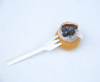 100% Bagasse Dîner Fourchette Canne À Sucre Biodégradable Vaisselle Jetable Bagasse Fourchette Fourchette De Service