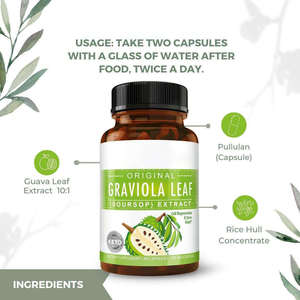 Cápsulas de Extrato de Folha de Graviola ODM/OEM, Cápsulas Naturais de Extrato de Fruta de Graviola, Suplementos para Regeneração Celular e Alívio do Estresse - Product Image 2