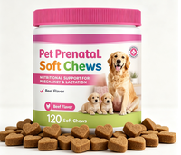 Friandises et suppléments prénatals pour chiens sous marque privée – Masticables souples pour la reproduction avec acide folique, fer, calcium et nutriments essentiels