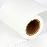Film composite en papier de dialyse médical laqué bleu 510 mm, 60 g/m², en rouleau, pour indicateur de vapeur, certifié CE MDR ISO, vente en gros