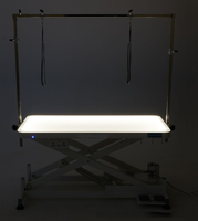 PetFit Grande table de toilettage professionnelle lumineuse à LED pour chien avec télécommande Table de toilettage électrique pour chien et chat