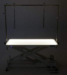 PetFit Grande table de toilettage professionnelle lumineuse à LED pour chien avec télécommande Table de toilettage électrique pour chien et chat - Product Image 3