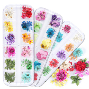 Coffret de fleurs séchées 3D stéréo pour la décoration des ongles, <span class=keywords><strong>gel</strong></span> UV, pétales de plantes réelles, accessoires pour ongles - Product Image 3