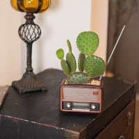 Nouveauté 2026 : Articles décoratifs créatifs et rétro en forme de radio pour pots de fleurs, objets artisanaux en résine multifonctionnels et personnalisés pour la maison
