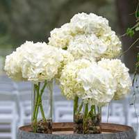 Vase Cylindrique en Verre Transparent Clair, Décoration Maison, Support de Bougie Flottante, Centre de Table de Mariage pour Événements et Usage Domestique