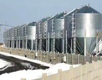 Nouvelle mangeoire pour poulets de chair entièrement automatique équipement de ferme de volaille stockage de silo d'alimentation et système d'alimentation de reproduction