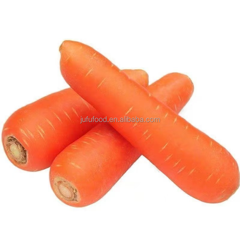 High Quality Organic Chinese Fresh Carrots for Food Use Export Grade