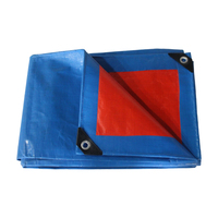 Bâche imperméable enduite de PE, résistante à l'abrasion, 260g, 4x5m, 4x6m, pour couverture de tente, auvent de voiture et marché polonais - Marque DEMENG