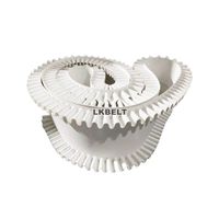 Banda Transportadora Lateral de PVC/PU de Grado Alimenticio Personalizada, Resistente al Desgaste, Antideslizante, de Alta Eficiencia de Transmisión para Alimentos y Bebidas
