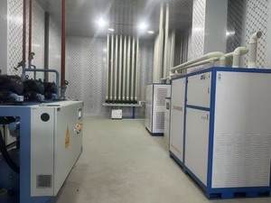 Cakfd Merk <span class=keywords><strong>Co2</strong></span> Absorber Voor Koele Opslag Van Groenten Fruit Voedsel Bloemen Voor Koude Kamer Gebruik - Product Image 3