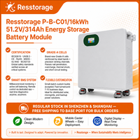 Système de stockage d'énergie domestique 51,2 V 16 kWh 314 Ah, batterie LiFePO4 empilable pour panneau solaire, surveillance par application