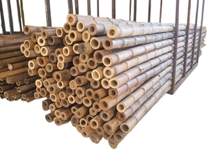 Postes de bambú gruesos de ALTA CALIDAD para construcción o decoración 8 13cm de diámetro PARED FUERTE para CONSTRUCCIÓN - Product Image 2