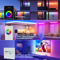 Contrôleur Wifi Tuya avec télécommande RF 2.4G pour CCT RGB RGBW RGBCCT LED Strip Light Support Alexa Google Assistant Commande vocale