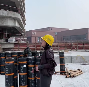 <span class=keywords><strong>Membrane</strong></span> bitumineuse industrielle auto-adhésive renforcée PVC/SBS avec adhérence spécifique aux fenêtres pour <span class=keywords><strong>l</strong></span>'<span class=keywords><strong>étanchéité</strong></span> des fenêtres - Product Image 2