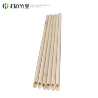 Pailles à cocktail biodégradables en bambou avec logo personnalisé, jetables pour boissons froides/chaudes, café, bar, fournitures de fête, vente en gros