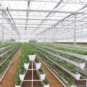 Nft Grow <span class=keywords><strong>Gouttière</strong></span> Système d'agriculture verticale Plantation de fraises Gully Cultivation Cultivation <span class=keywords><strong>Pot</strong></span> de fraises - Product Image 6