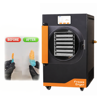 Machine de lyophilisation DALLE 220V/110V pour aliments, en acier inoxydable, 6 plateaux, usage domestique, 10 kg